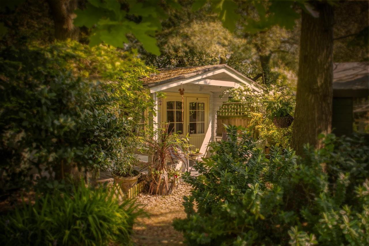 Ward Avenue B&B Cowes  Dış mekan fotoğraf