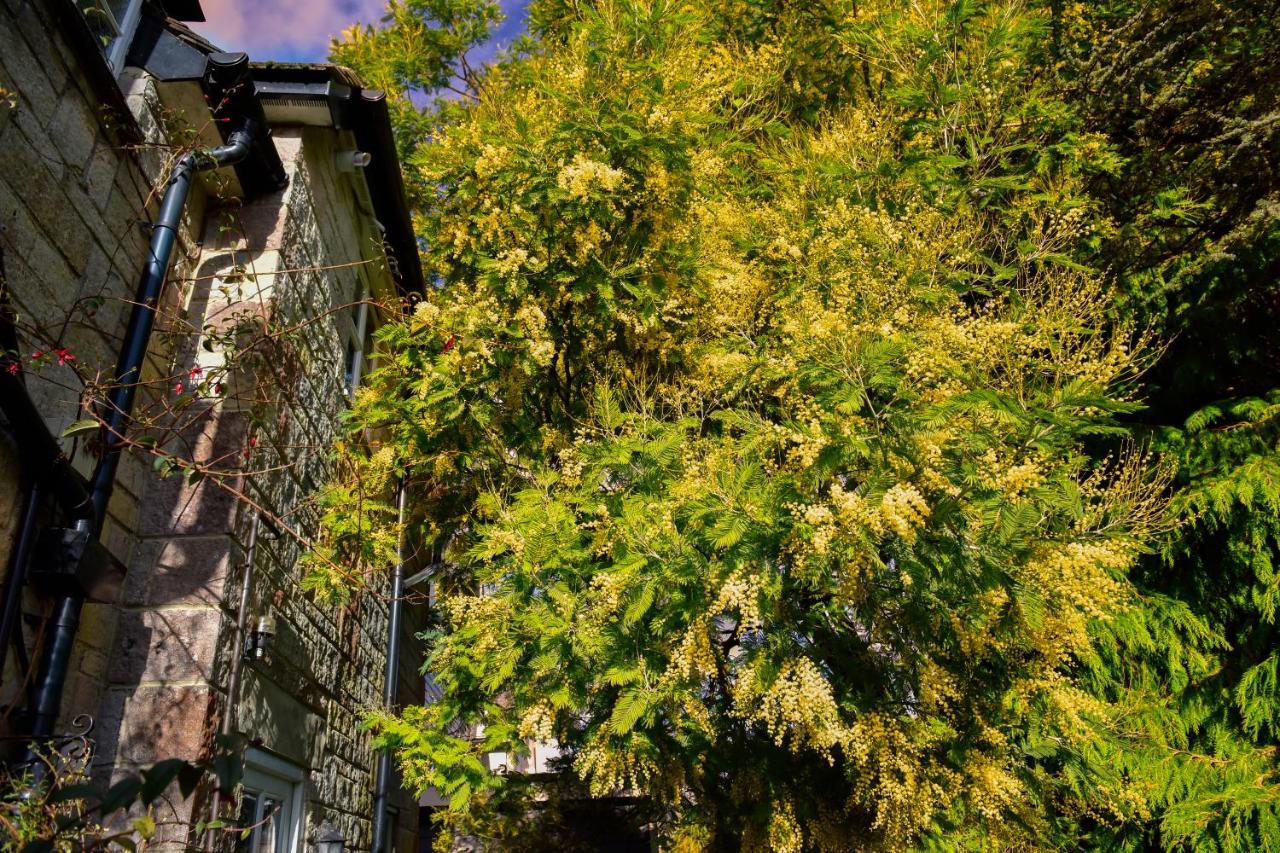 Ward Avenue B&B Cowes  Dış mekan fotoğraf