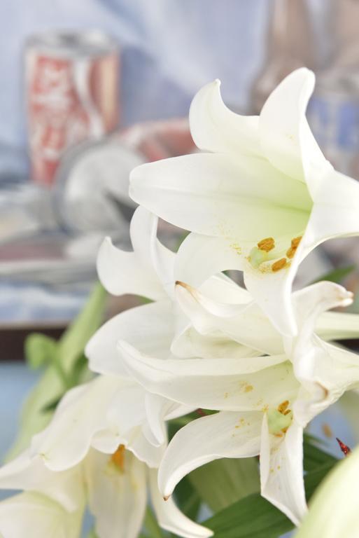 Ward Avenue B&B Cowes  Dış mekan fotoğraf